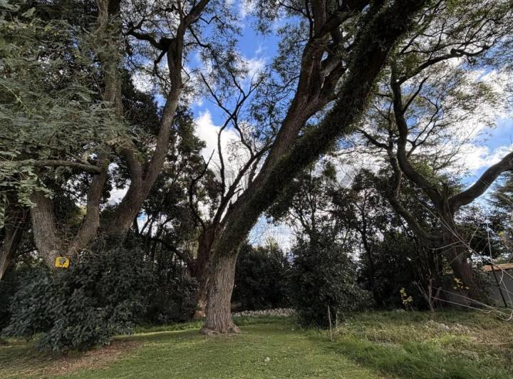 Terreno · 734m²