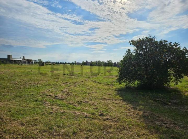 Terreno · 1520m²