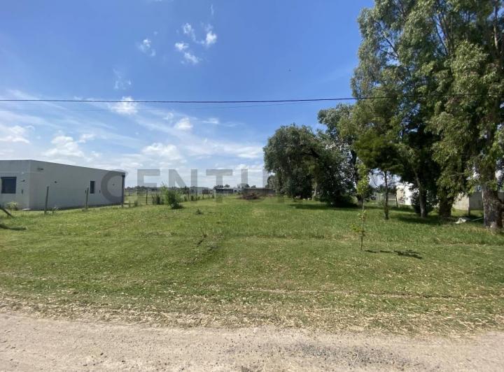 Terreno · 2550m²