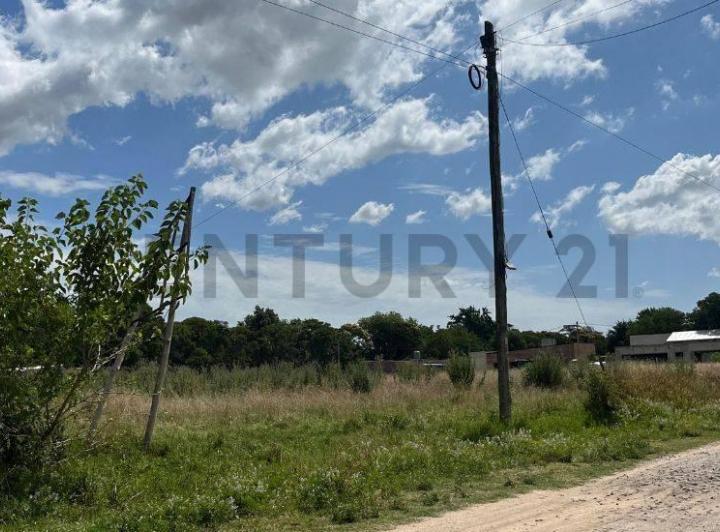 Terreno · 694m²
