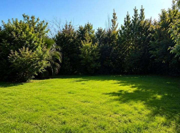 Terreno · 320m²