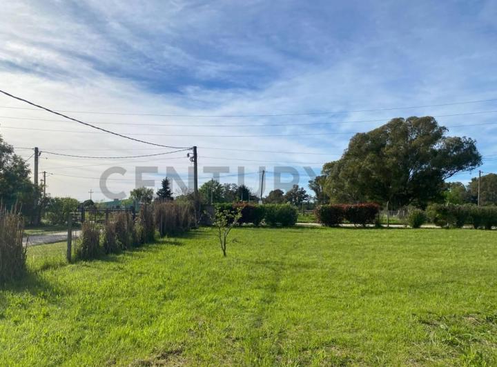Terreno · 1260m²