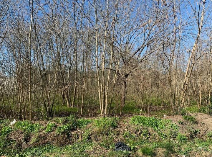 Terreno · 470m²