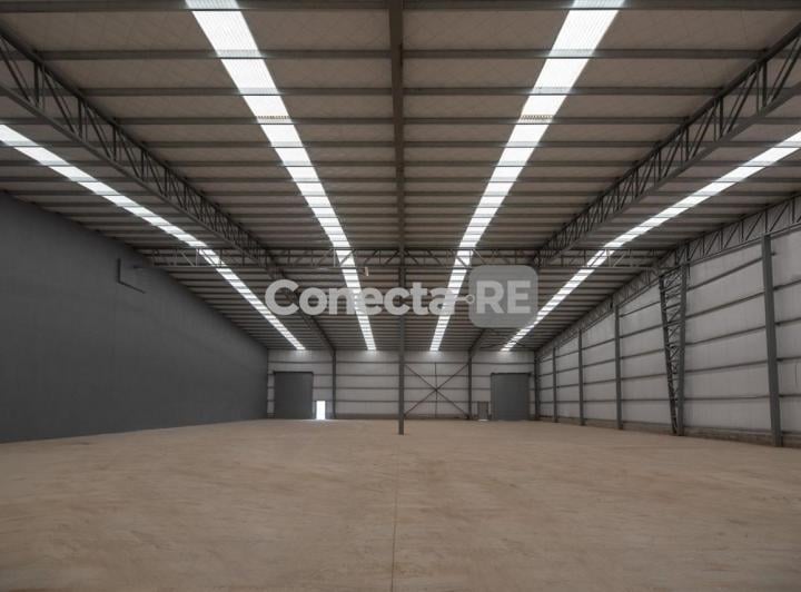 Bodega-Galpón · 1500m²
