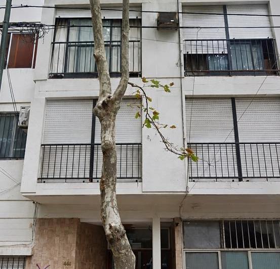 Departamento · 50m² · 2 Dormitorios