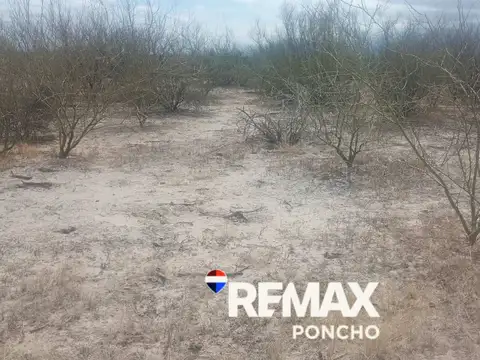Venta campo natural depto poman ruta 25