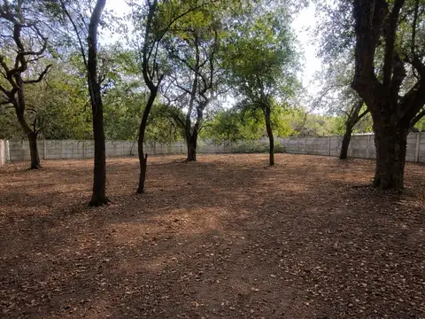 Terreno en venta de 1250 m² en los romanos