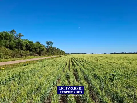 Venta campo agrícola de superficie limpia | us$4.000/ha. | mesón de fierro, chaco.