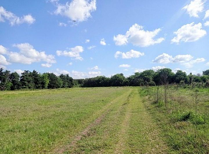 Terreno · 25000m²