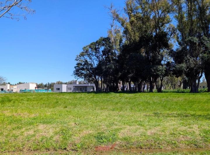 Terreno · 2072m²