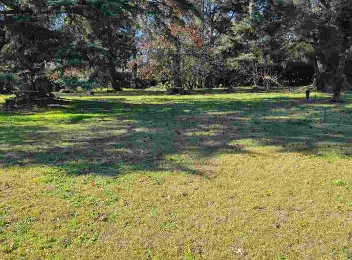 Terreno · 10860m²