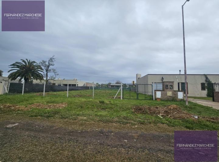 Terreno · 650m²