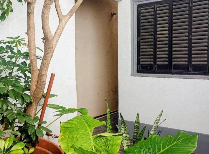 PH · 54m² · 2 Ambientes