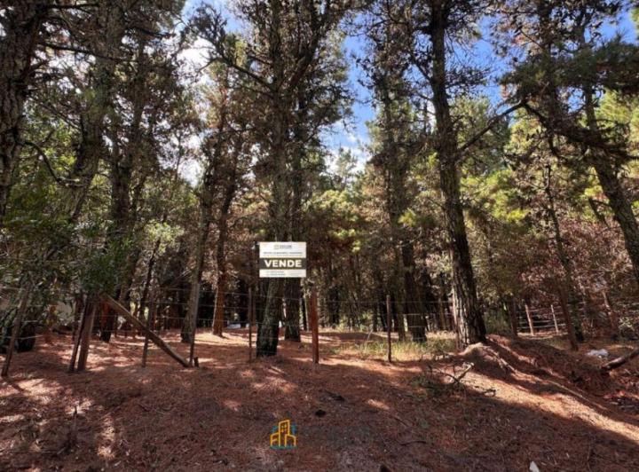 Terreno · 450m²