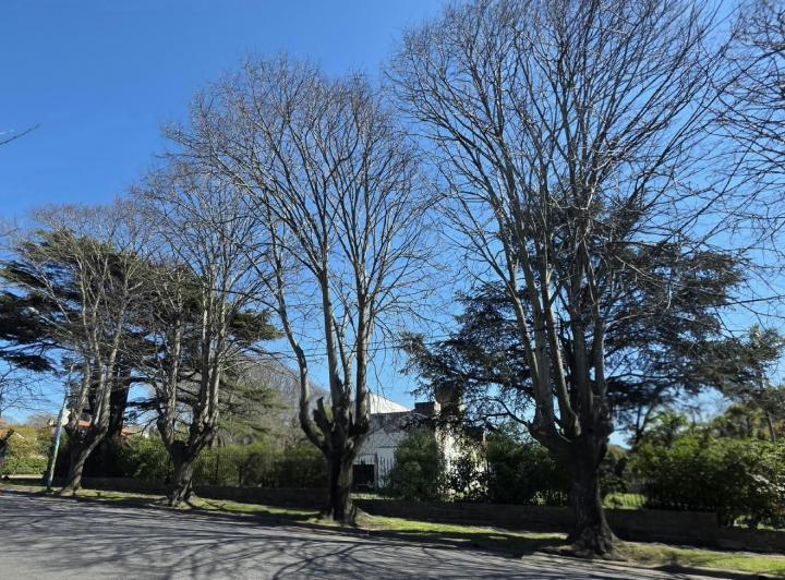 Terreno · 375m²