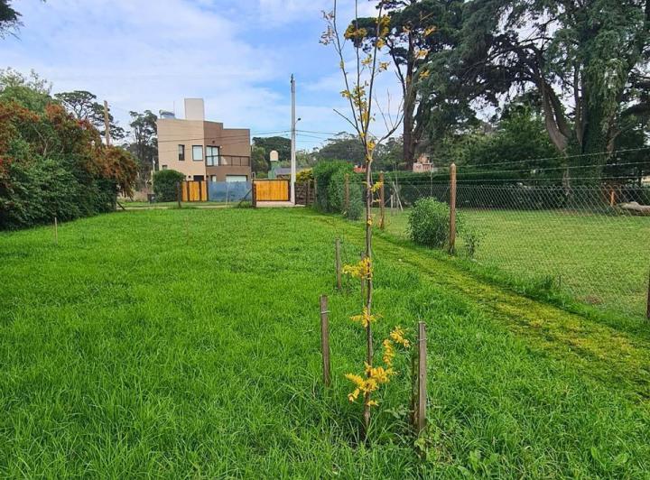Terreno · 405m²