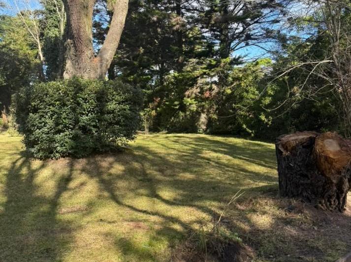 Terreno · 1200m²