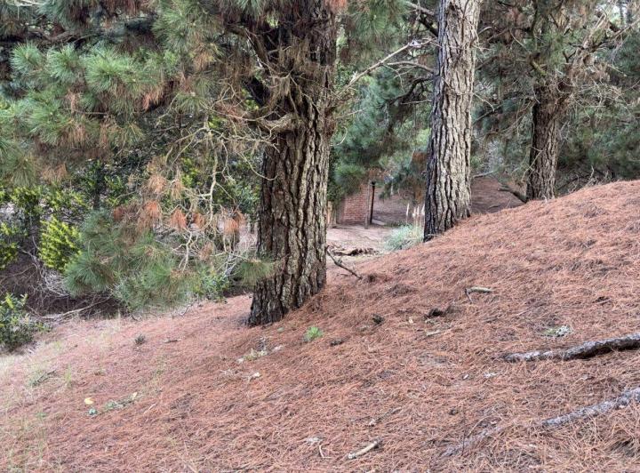 Terreno · 450m²