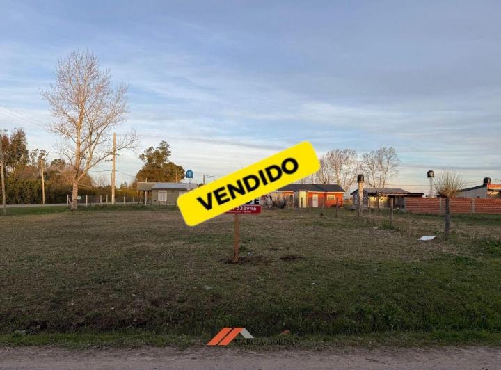 Terreno
