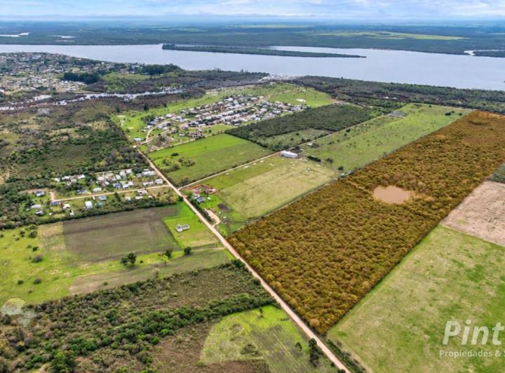 Terreno · 40ha