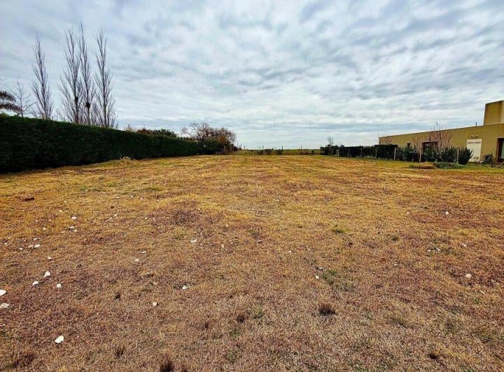 Terreno · 1650m²