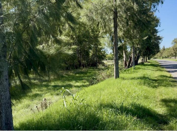 Terreno · 750m²