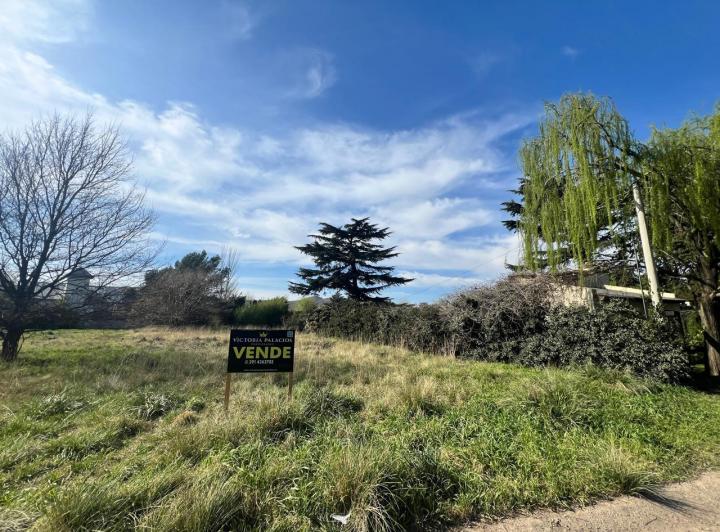 Terreno · 1129m²