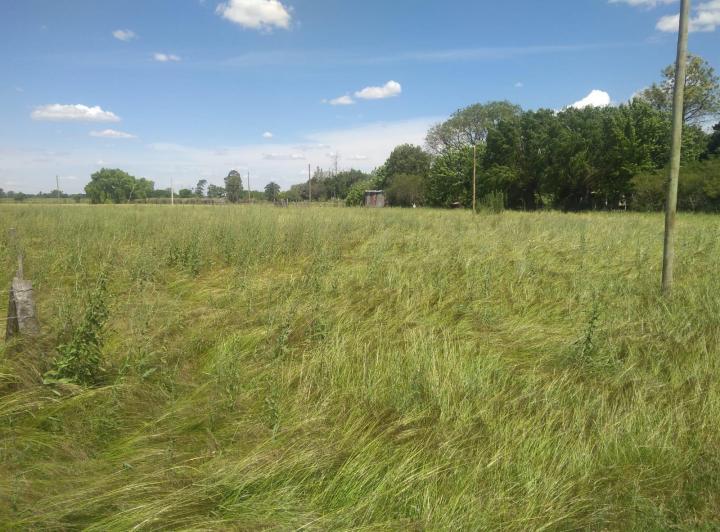 Terreno · 474m²