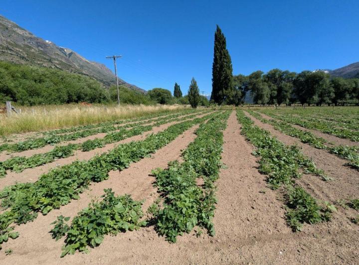 Terreno · 2500m²