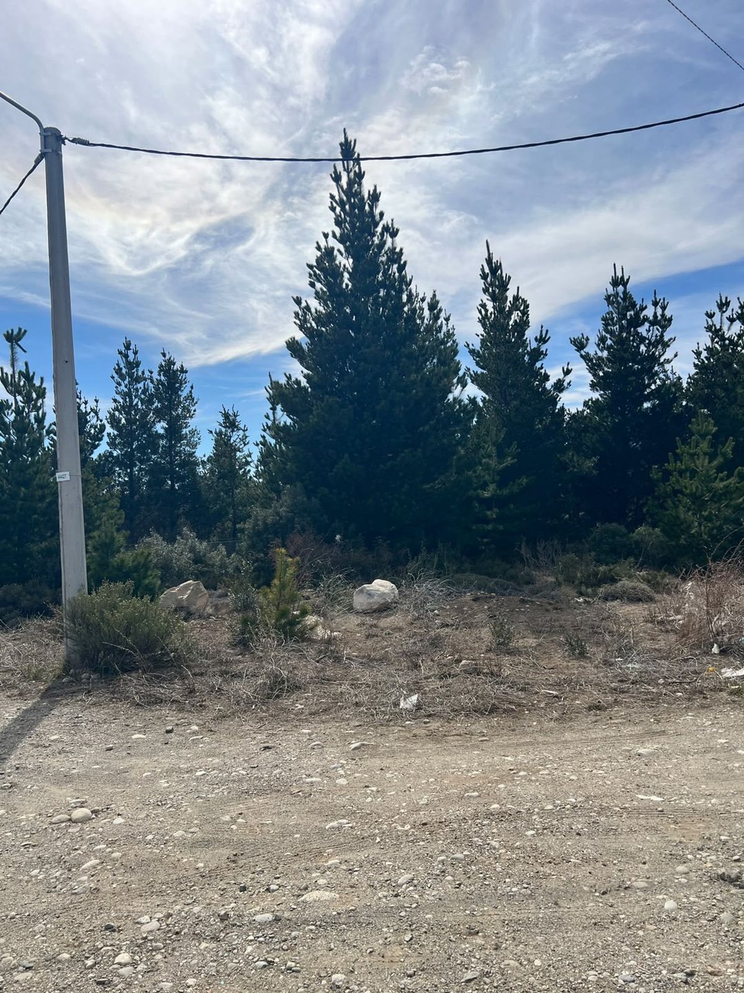HERMOSO LOTE EN ALTURA CON VISTA  EN LOS ABEDULES