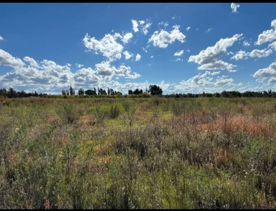 FINCA A LA VENTA EN SAN RAFAEL
