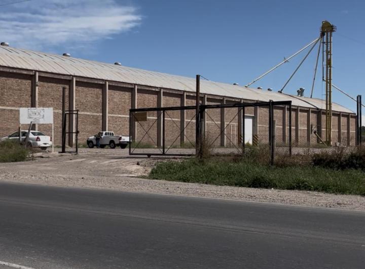 Bodega-Galpón · 6000m²