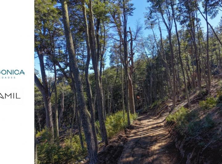 Terreno · 4300m²