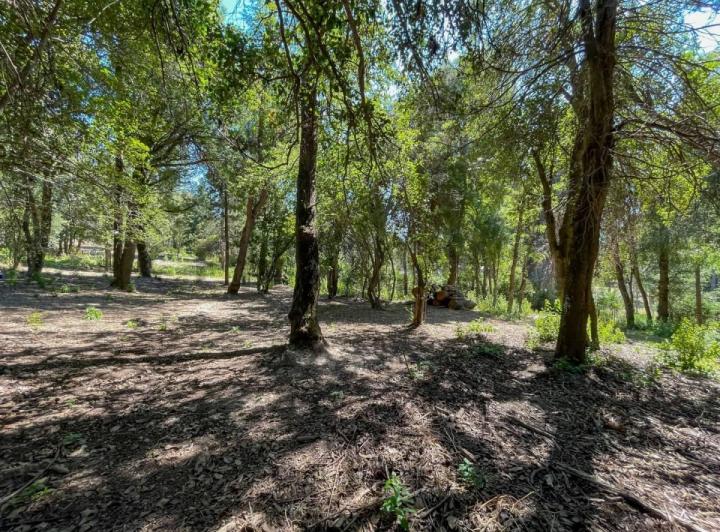 Terreno · 324m²