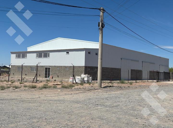 Bodega-Galpón · 600m²