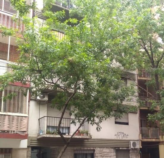 Departamento · 30m² · 2 Ambientes
