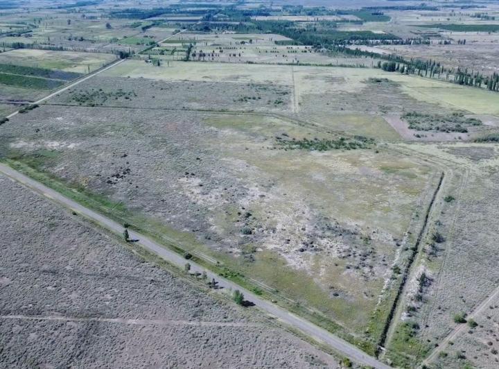 Campo · 5ha