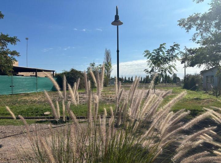 Terreno · 957m²