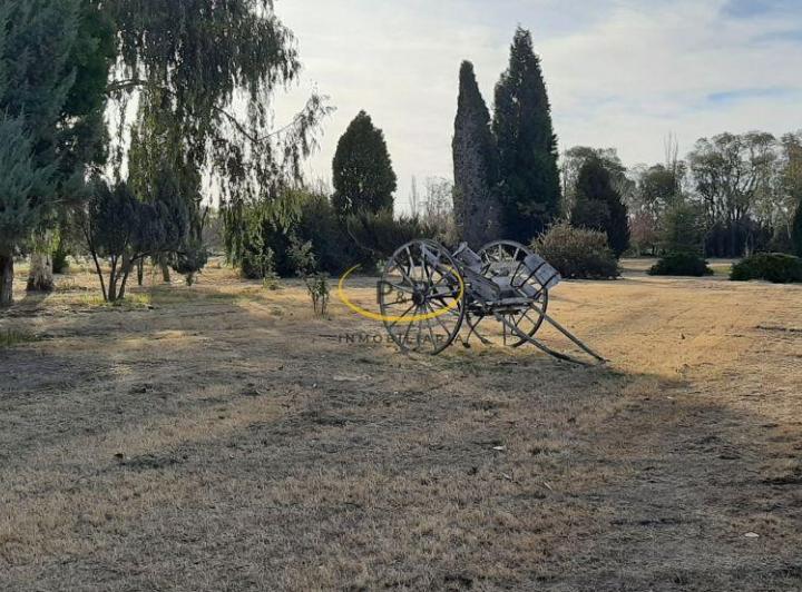 Campo · 5m²