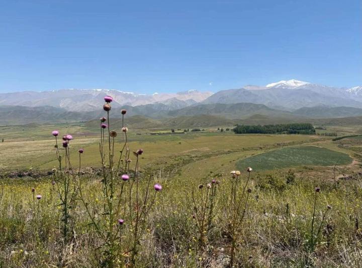 Terreno · 20000m²
