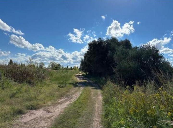 Campo · 3ha