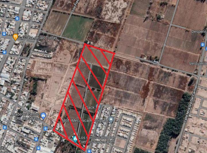 Terreno · 96334m²