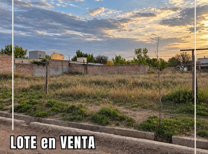 Terreno · 292m²