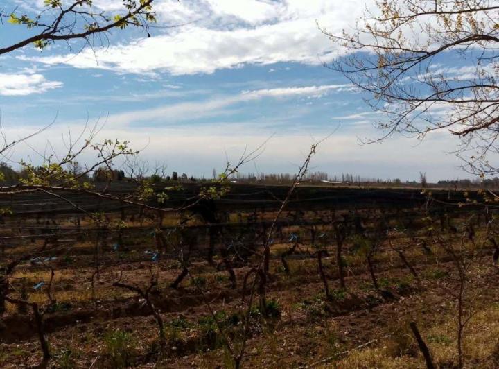 Campo · 100000m²
