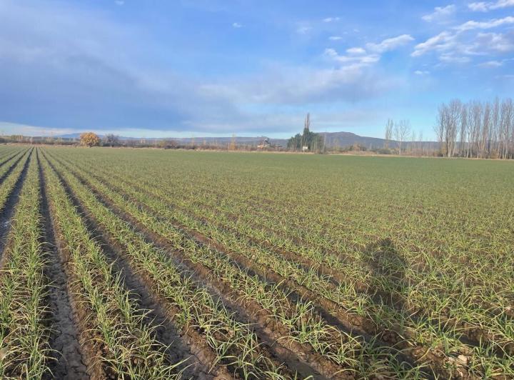 Campo · 154m²