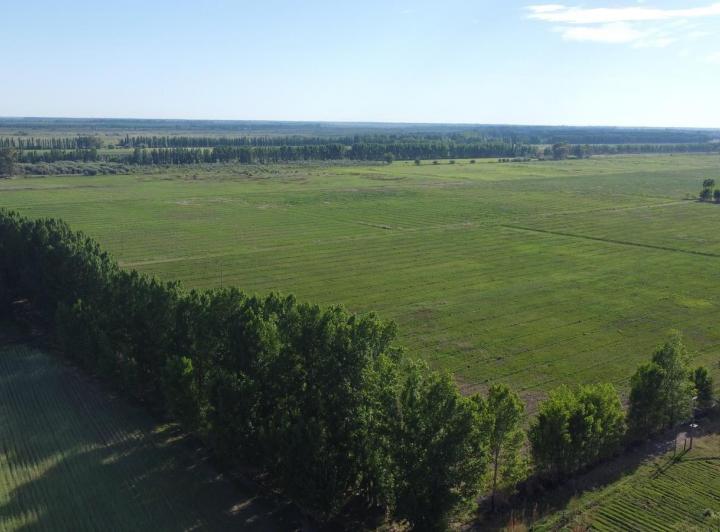 Casa · 5000000m²