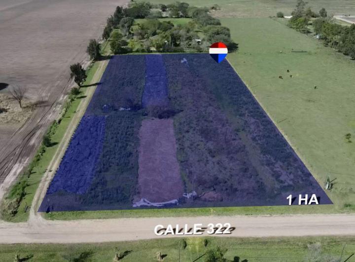 Terreno · 10000m²