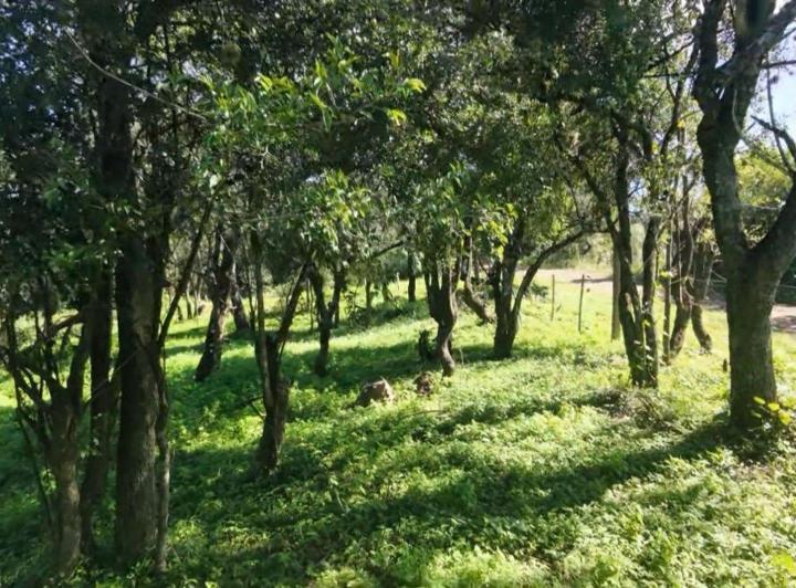 Terreno · 795m²