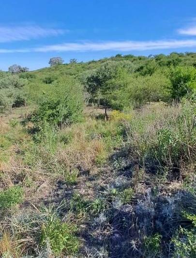 Terreno · 30000m²