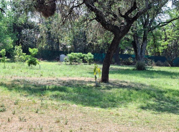 Terreno · 1502m²
